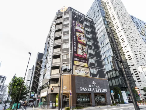 HOTEL PASELA LIVING