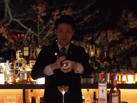 barhotel Hakone Kazan