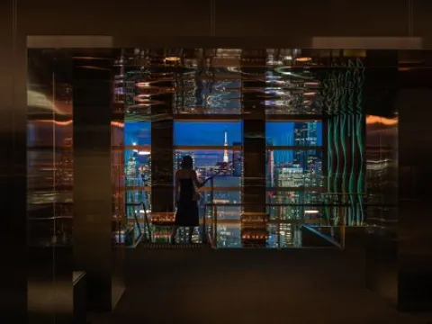 The Prince Gallery Tokyo Kioicho, a Luxury Collection Hotel